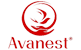 CÔNG TY CỔ PHẦN DINH DƯỠNG AVANEST